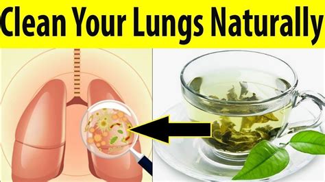 Although the number one target group are smokers, this recipe for cleaning your lungs of toxins, including nicotine and tar, is intended for everyone.This method …